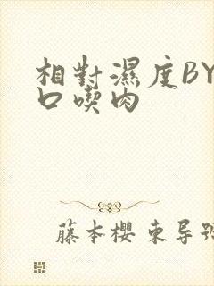 相对湿度BY大口吃肉