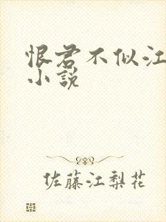 恨君不似江楼月小说