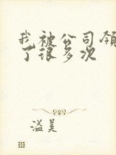 我被公司领导C了很多次