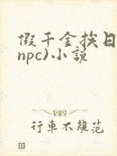 假千金挨日记(npc)小说