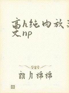 高h纯肉放荡h文np