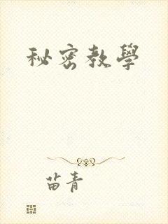 秘密教学