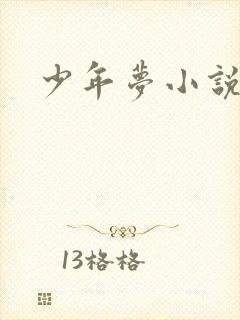 少年梦小说