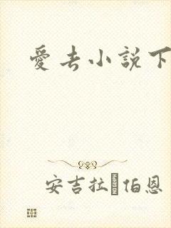 爱去小说下载网