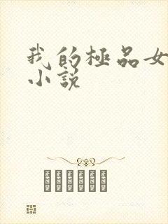 我的极品女老师小说