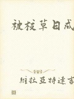 被校草日成母狗