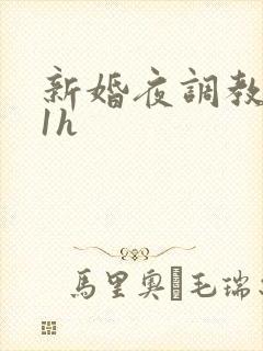 新婚夜调教1v1h