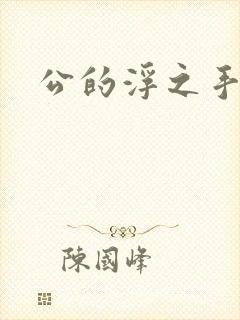 公的浮之手中字