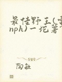 最佳野王(电竞nph)一坨薯饼