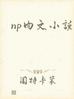 np肉文小说