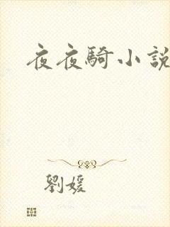 夜夜骑小说