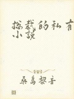 总裁的私有宝贝小说