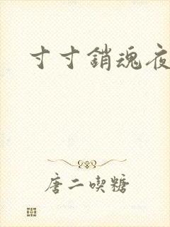 寸寸销魂夜春光