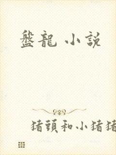 盘龙 小说