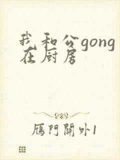我和公gong在厨房