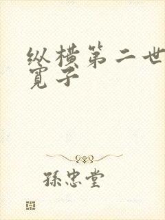 纵横第二世界 宽子
