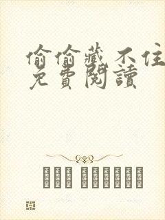 偷偷藏不住小说免费阅读