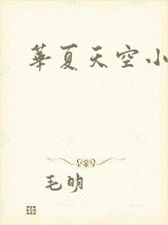 华夏天空小说网