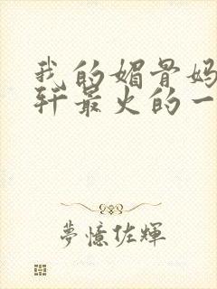 我的媚骨妈妈林轩最火的一句