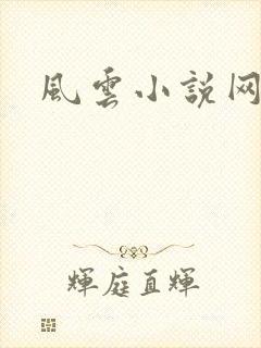 风云小说网