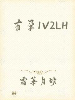 有孕1V2LH
