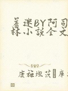 着迷BY阿司匹林小说全文免费阅读