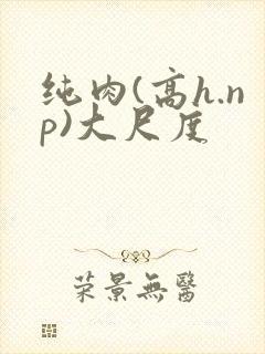 纯肉(高h.np)大尺度