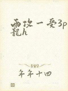 两攻一受3p双龙h