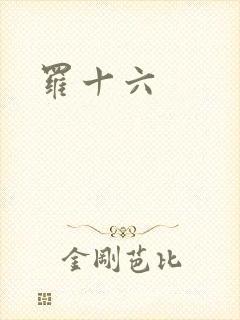 罗十六