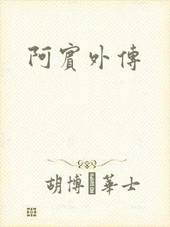 阿宾外传