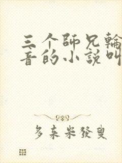 三个师兄轮流上音的小说叫什么