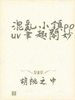 混乱小镇popuv笔趣阁妙妙
