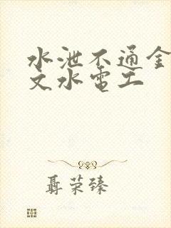 水泄不通金银原文水电工