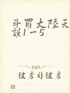 斗罗大陆天狂传说1一5