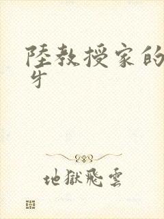 陆教授家的小月牙