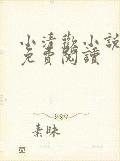 小清欢小说全文免费阅读
