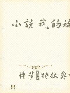 小说 我的娇妻