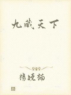 九藏天下