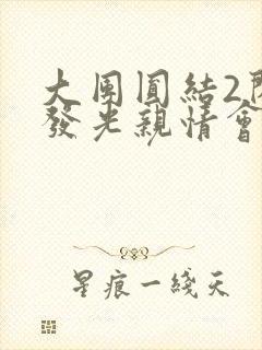 大团圆结2闪闪发光亲情会