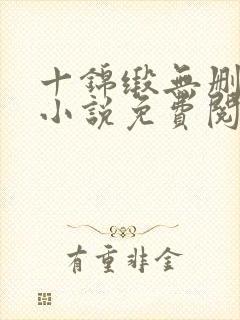 十锦缎无删原著小说免费阅读