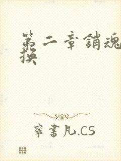 第二章销魂的交换