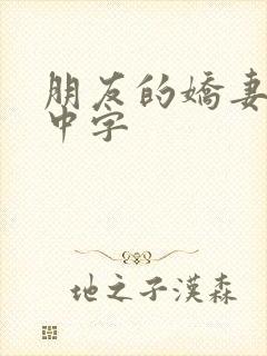 朋友的娇妻hd中字