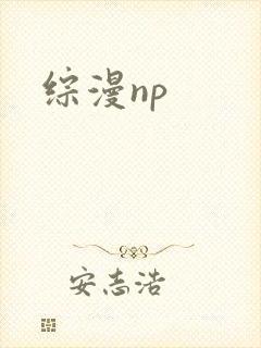 综漫np