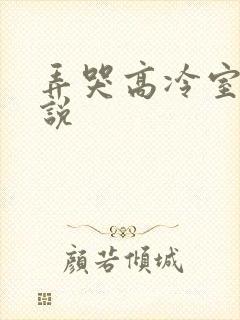 弄哭高冷室友小说