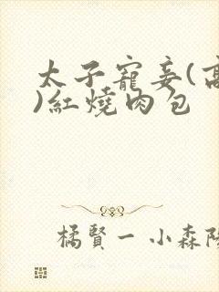 太子宠妾(高肉)红烧肉包