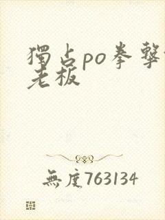 独占po拳击馆老板