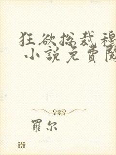 狂欲总裁穆非雪 小说免费阅读