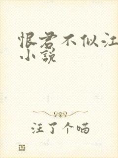 恨君不似江楼月小说