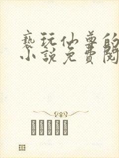 亵玩仙尊的道侣小说免费阅读