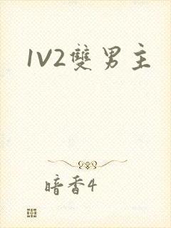 1V2双男主